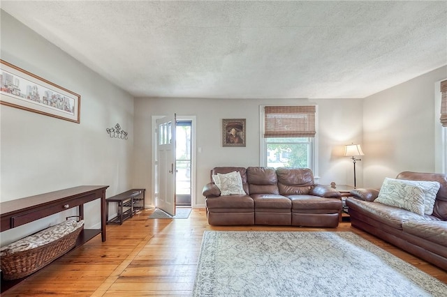 429 Market St, Beaver, PA 15009 - living area with light wood finished floors and a textured ceiling