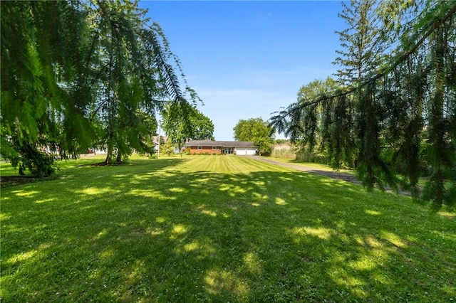 10756 Aldina Dr, Conneaut Lake, PA 16316 - view of green lawn