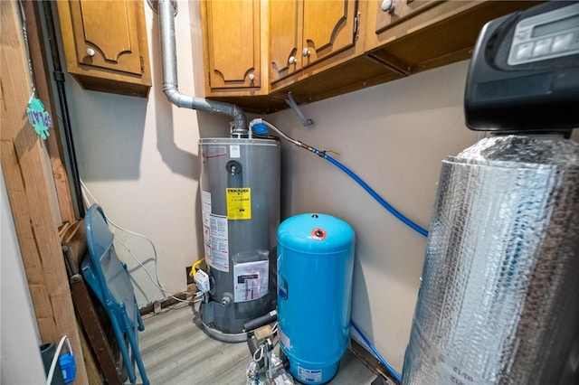 10756 Aldina Dr, Conneaut Lake, PA 16316 - utilities featuring gas water heater