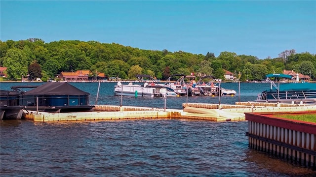 10756 Aldina Dr, Conneaut Lake, PA 16316 - water view with a dock and a forest