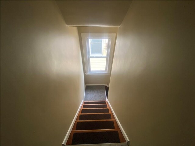2619 Harrison St, Mckeesport, PA 15132 - photo 20