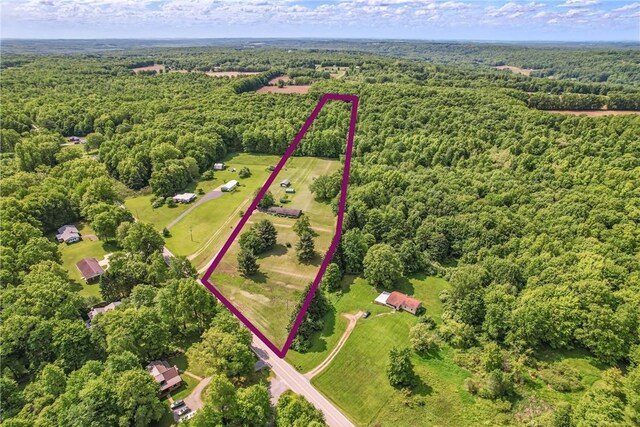 1011 S Lake Rd, Jefferson Twp Mer, PA 16137 - aerial view of property and surrounding area with a forest and property parcel outlined