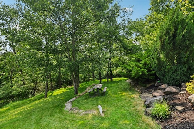 4324 Grandview Dr, Richland, PA 15044 - view of grassy yard