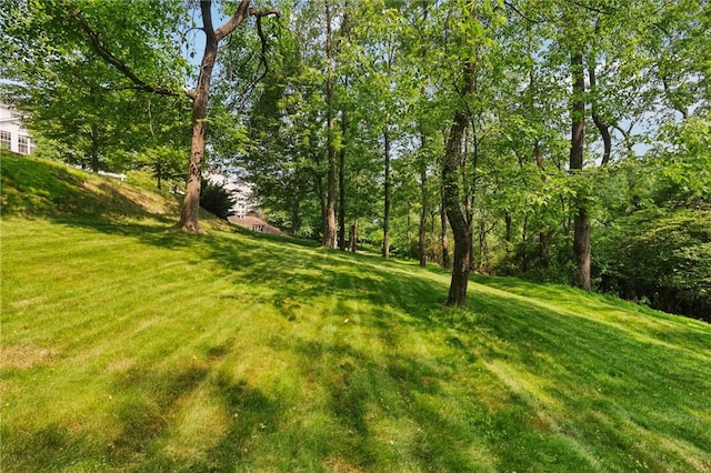4324 Grandview Dr, Richland, PA 15044 - view of grassy yard