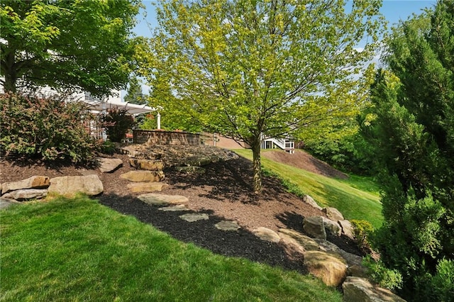 4324 Grandview Dr, Richland, PA 15044 - view of green lawn