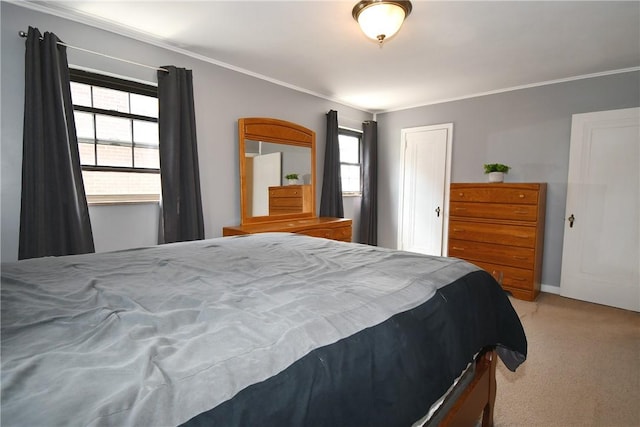 21 Leon Rd, Green Tree, PA 15220 - bedroom featuring ornamental molding and carpet floors
