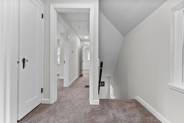 1416 Swantek St, Sheraden, PA 15204 - corridor featuring attic access, carpet, an upstairs landing, baseboards, and vaulted ceiling