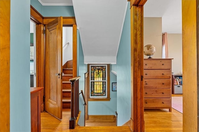 2352 Beaufort Ave, Brookline, PA 15226 - hallway featuring light wood finished floors, stairs, and ornamental molding