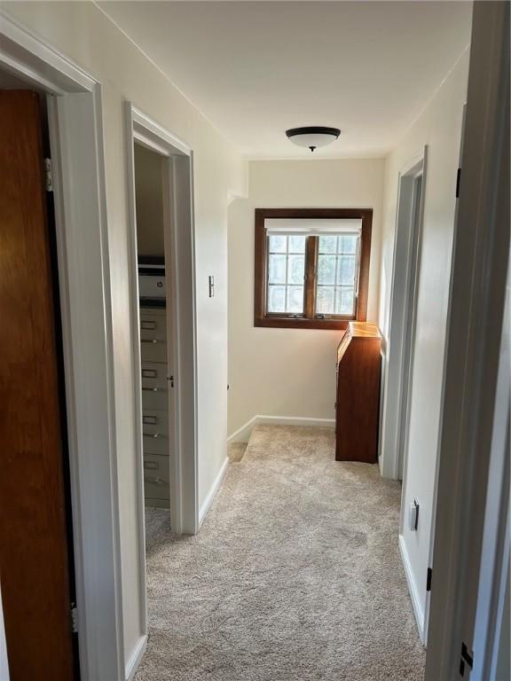 114 Tillotson Cir, Ross Twp, PA 15237 - hall with carpet and baseboards