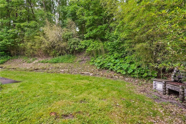 3336 Longbow Dr, Churchill Boro, PA 15235 - photo 28