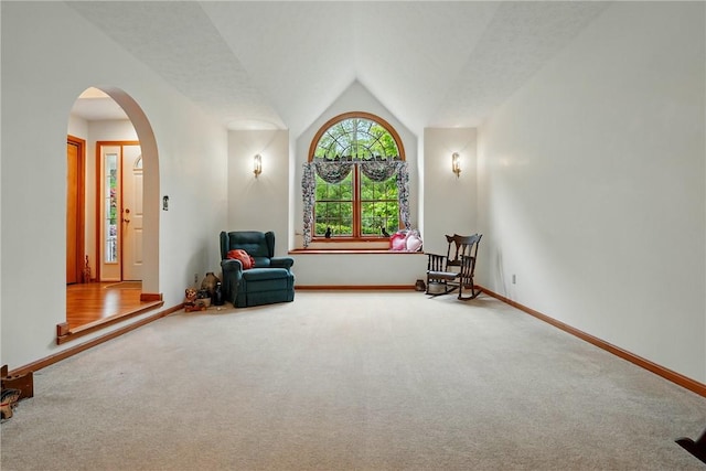 79 Mariacher Rd, Findley Twp, PA 16137 - living area with carpet flooring, arched walkways, vaulted ceiling, and baseboards