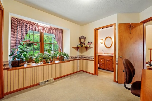 79 Mariacher Rd, Findley Twp, PA 16137 - office area featuring light carpet, wainscoting, and a textured ceiling