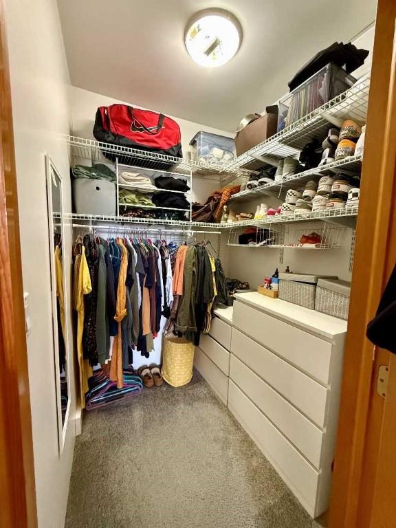 610 Southern Ave, Mt Washington, PA 15211 - spacious closet featuring carpet floors