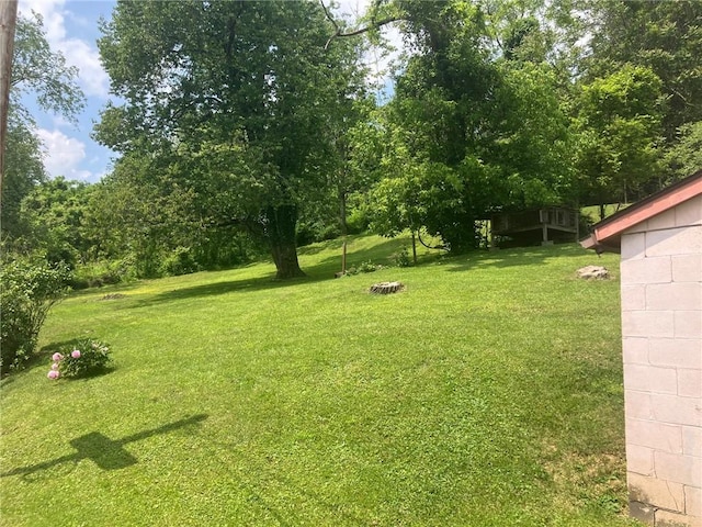 76 Laurel Rd, Fallowfield, PA 15022 - view of green lawn