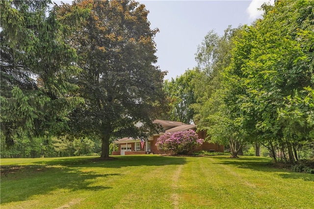 17 Lakeview Dr, Lackawannock Twp, PA 16159 - view of green lawn
