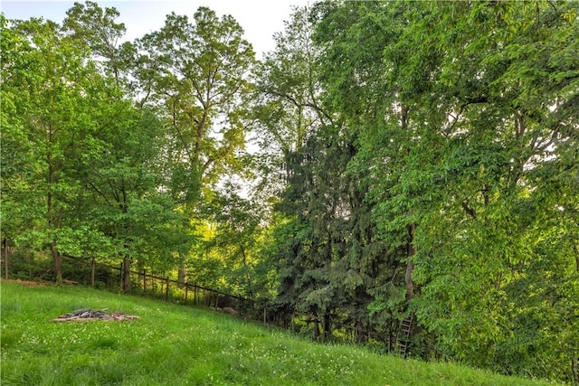 341 State Route 356, Washington Twp Wml, PA 15613 - view of yard