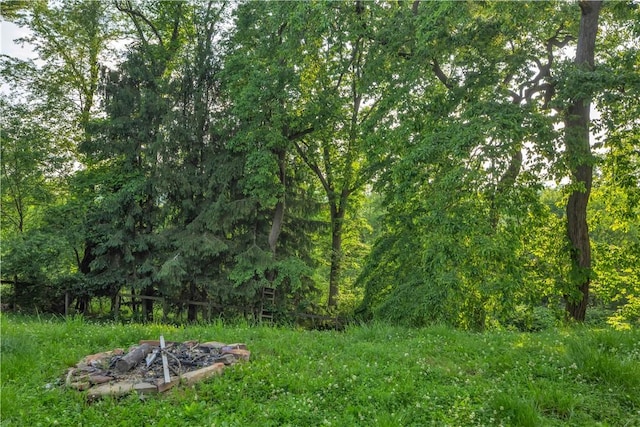 341 State Route 356, Washington Twp Wml, PA 15613 - view of yard with a fire pit and a forest view
