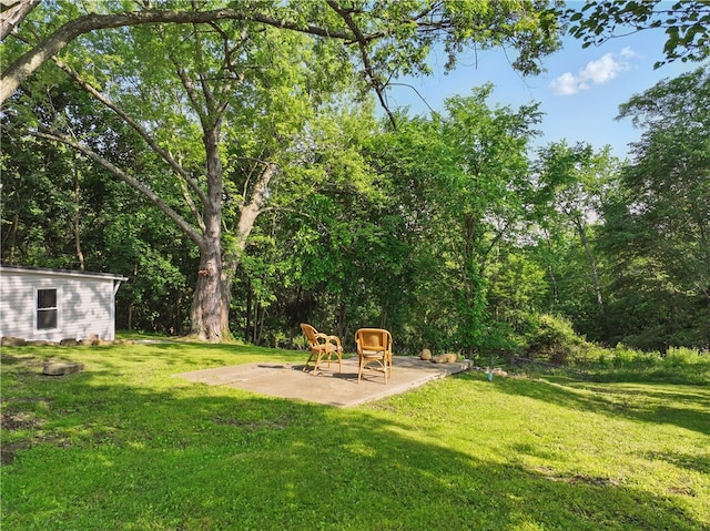 3009 33rd St, Pulaski Twp Bea, PA 15066 - view of grassy yard with a patio area and an outbuilding