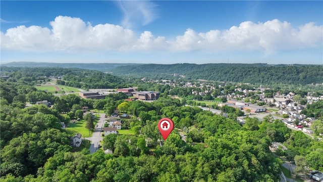 3009 33rd St, Pulaski Twp Bea, PA 15066 - drone / aerial view of a forest