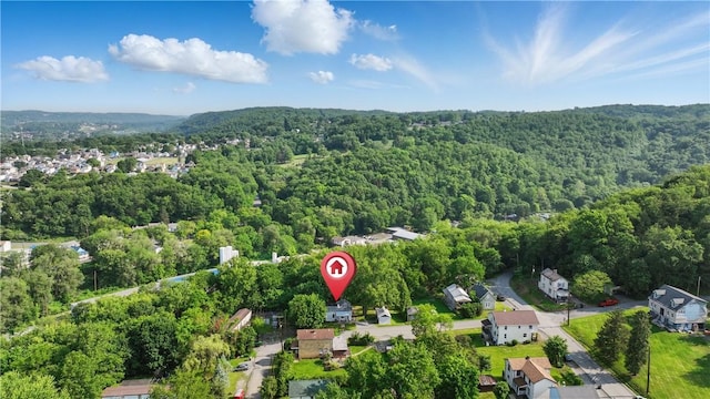 3009 33rd St, Pulaski Twp Bea, PA 15066 - bird's eye view of a forest