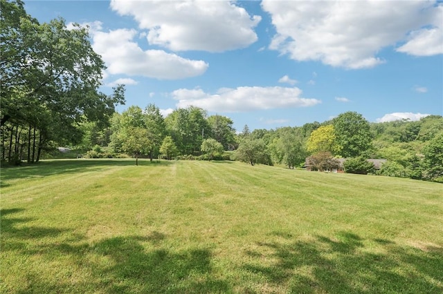 190 Pineview Dr, Pine Twp Nal, PA 15090 - view of green lawn