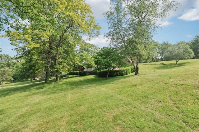 190 Pineview Dr, Pine Twp Nal, PA 15090 - view of grassy yard featuring view of scattered trees