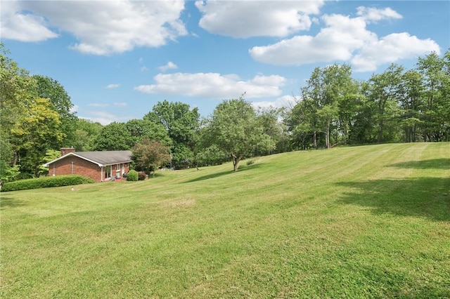 190 Pineview Dr, Pine Twp Nal, PA 15090 - view of green lawn