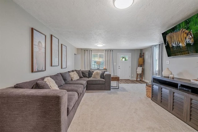 126 Scholl Ln, Rostraver, PA 15012 - living room featuring a textured ceiling and light carpet
