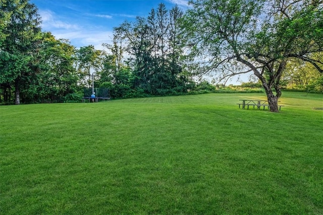 126 Scholl Ln, Rostraver, PA 15012 - view of grassy yard with a trampoline