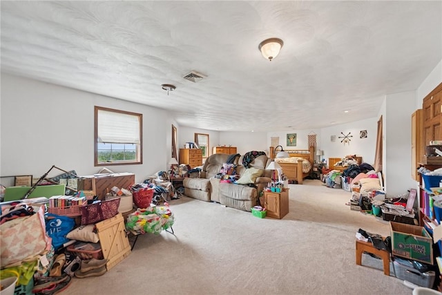 2447 Luciusboro Rd, Center Twp/Homer Cty, PA 15748 - photo 23