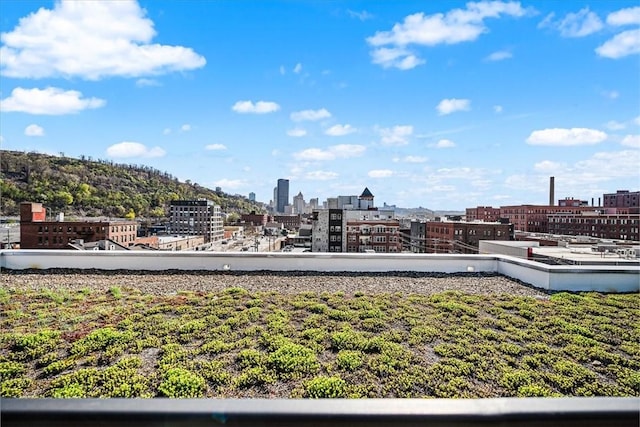 2554 Smallman St Unit 406, Downtown Pgh, PA 15222 - view of yard with a view of city