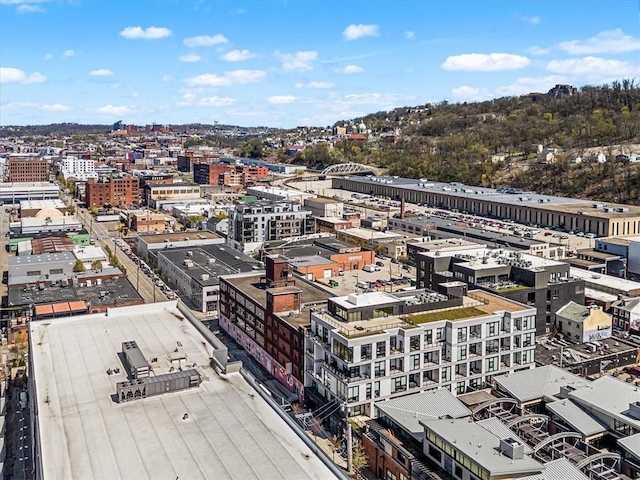 2554 Smallman St Unit 406, Downtown Pgh, PA 15222 - city view