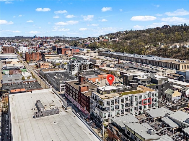 2554 Smallman St Unit 406, Downtown Pgh, PA 15222 - city view
