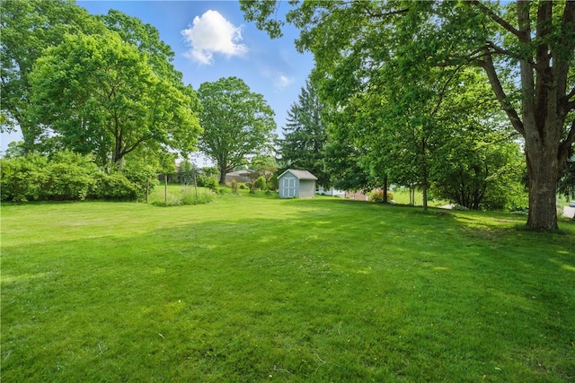 131 Howley Ave, Chippewa Twp, PA 15010 - view of green lawn
