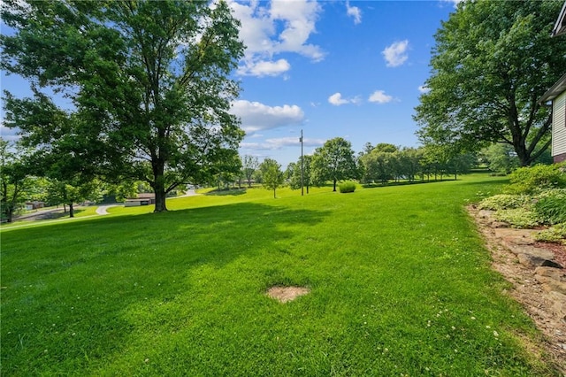 922 Old Ridge Rd, Cross Creek Twp, PA 15340 - view of green lawn