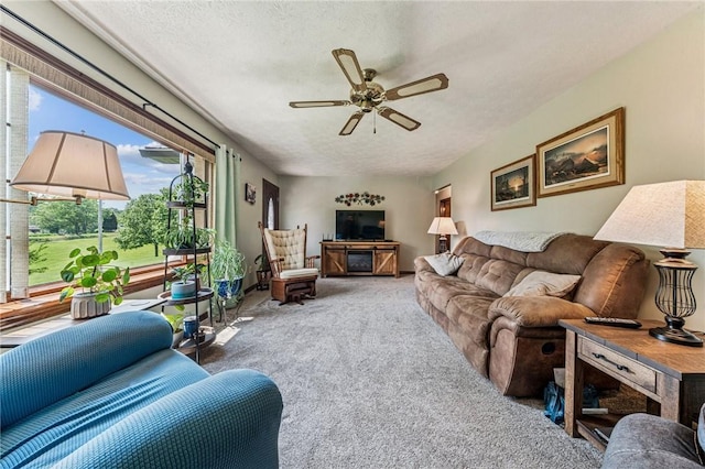 922 Old Ridge Rd, Cross Creek Twp, PA 15340 - carpeted living room with a ceiling fan and a textured ceiling