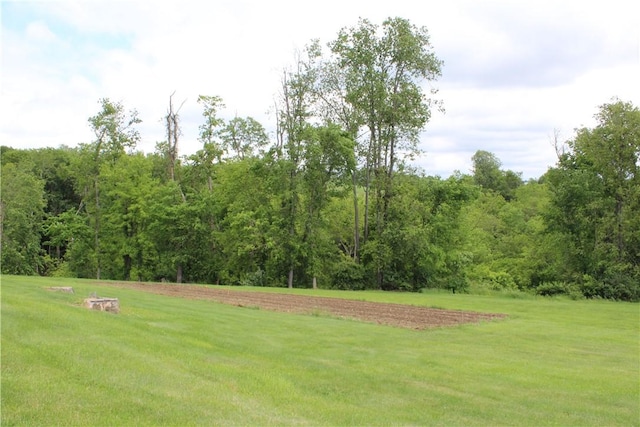 922 Old Ridge Rd, Cross Creek Twp, PA 15340 - view of grassy yard