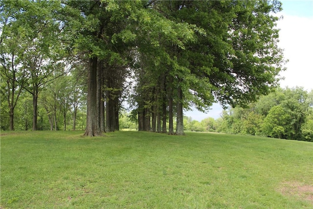 922 Old Ridge Rd, Cross Creek Twp, PA 15340 - view of green lawn