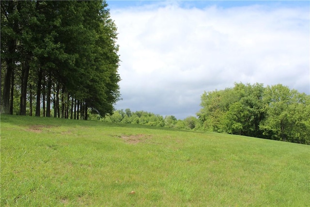 922 Old Ridge Rd, Cross Creek Twp, PA 15340 - view of yard