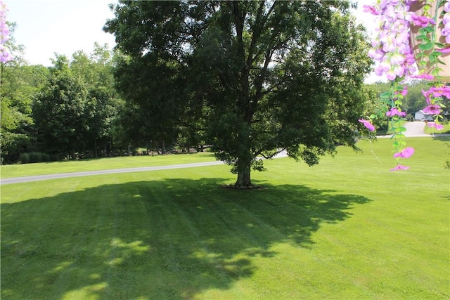 922 Old Ridge Rd, Cross Creek Twp, PA 15340 - surrounding community featuring a yard