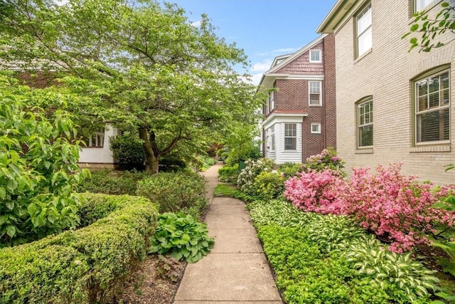 5304 Saint James Ter, Shadyside, PA 15232 - view of yard