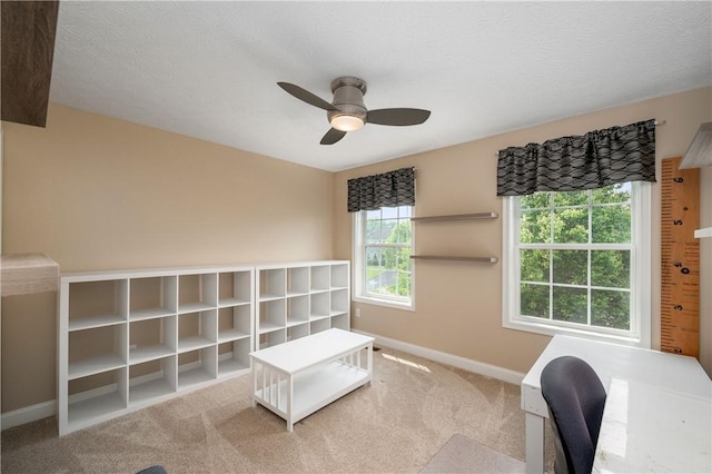 565 Tara Ct, Saxonburg Boro, PA 16056 - unfurnished office with a ceiling fan, baseboards, and carpet flooring