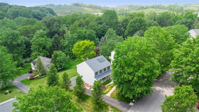 536 Cherryhill Dr, Cecil, PA 15017 - aerial view of a forest