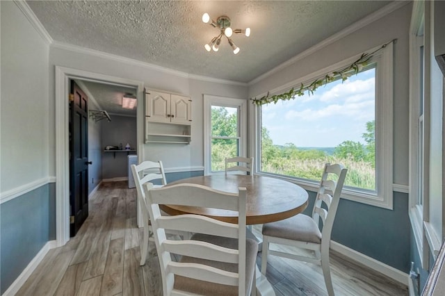 4822 W State St, Mahoning Twp Law, PA 16116 - dining space with a textured ceiling, light wood-style flooring, a chandelier, healthy amount of natural light, and baseboards