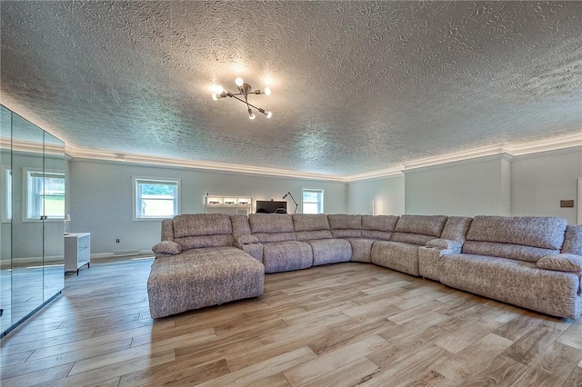 4822 W State St, Mahoning Twp Law, PA 16116 - living area featuring a textured ceiling, ornamental molding, wood finished floors, and baseboards