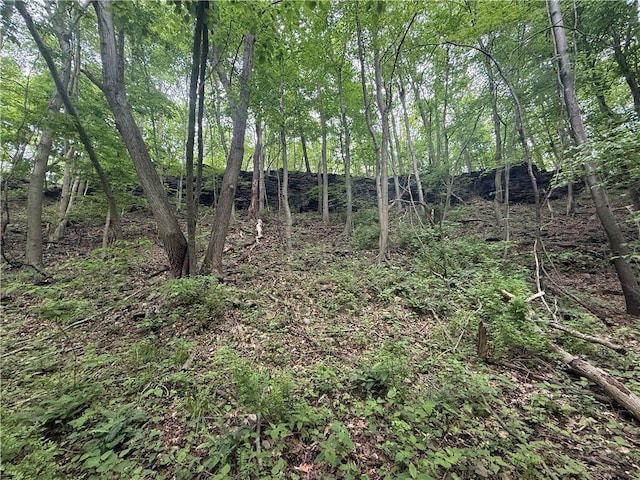 520 Palmer Rd, German Twp, PA 15410 - view of undeveloped land