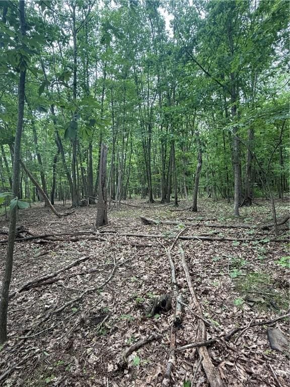 520 Palmer Rd, German Twp, PA 15410 - view of wooded area