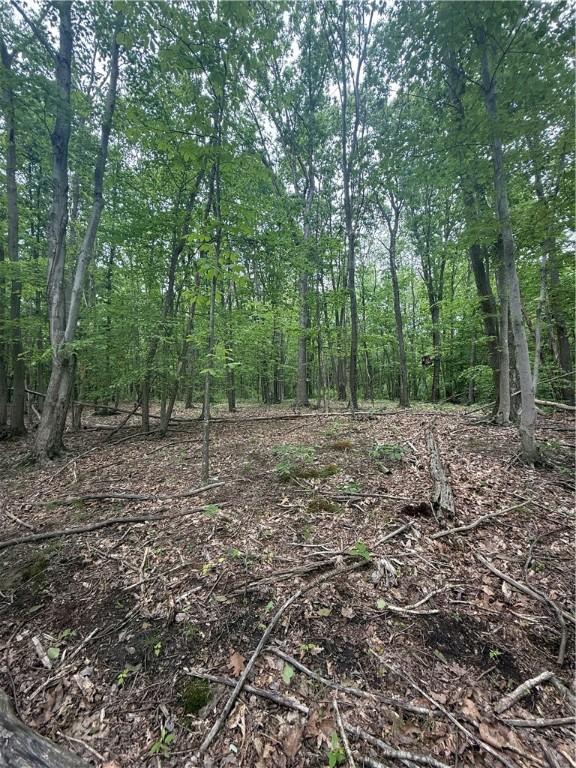520 Palmer Rd, German Twp, PA 15410 - photo 5
