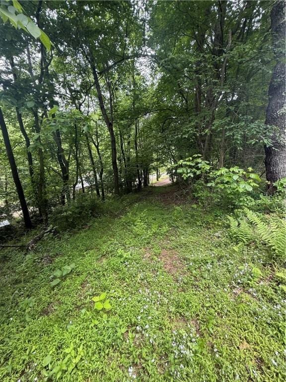 520 Palmer Rd, German Twp, PA 15410 - view of yard with a forest view