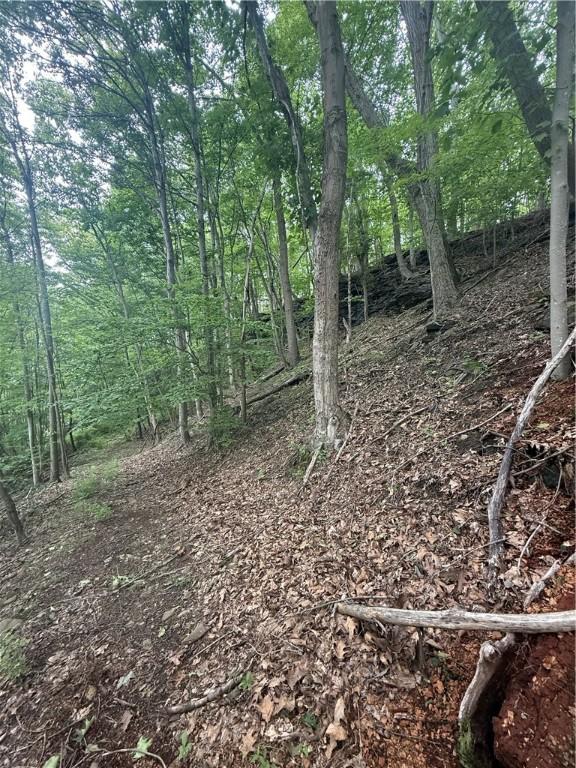 520 Palmer Rd, German Twp, PA 15410 - view of undeveloped land